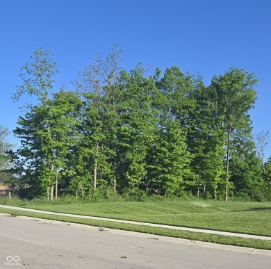 Welcome to this stunning 3 Br / 2 Ba ranch home, perfectly on Golf Club of Indiana in Indiana - for sale on GolfHomes.com, golf home, golf lot