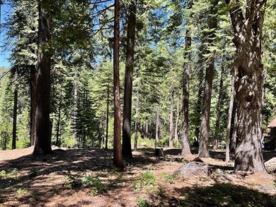Do you want to live the mountain life, and enjoy the beauty that on Sequoia Woods Country Club in California - for sale on GolfHomes.com, golf home, golf lot
