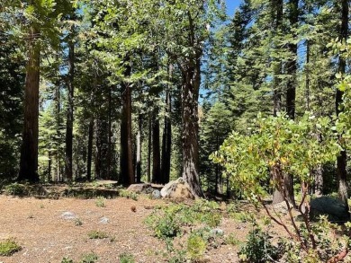 Do you want to live the mountain life, and enjoy the beauty that on Sequoia Woods Country Club in California - for sale on GolfHomes.com, golf home, golf lot