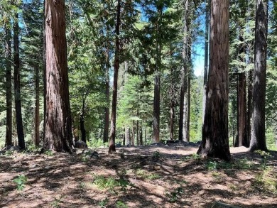 Do you want to live the mountain life, and enjoy the beauty that on Sequoia Woods Country Club in California - for sale on GolfHomes.com, golf home, golf lot