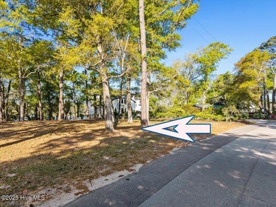 Rare and Unique with Stunning Panoramic Views! Lake, Golf on Oyster Bay Golf Links in North Carolina - for sale on GolfHomes.com, golf home, golf lot