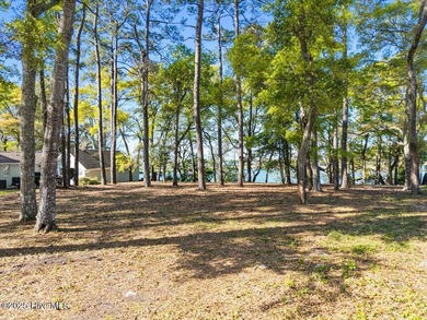 Rare and Unique with Stunning Panoramic Views! Lake, Golf on Oyster Bay Golf Links in North Carolina - for sale on GolfHomes.com, golf home, golf lot