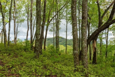 Bring your plans because this lot is ready for your new home! on Natures Walk At Chinquapin in North Carolina - for sale on GolfHomes.com, golf home, golf lot