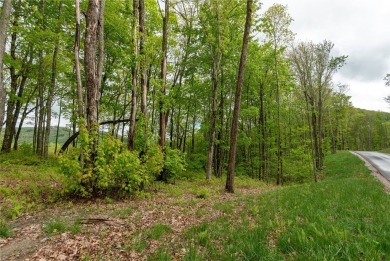 Bring your plans because this lot is ready for your new home! on Natures Walk At Chinquapin in North Carolina - for sale on GolfHomes.com, golf home, golf lot
