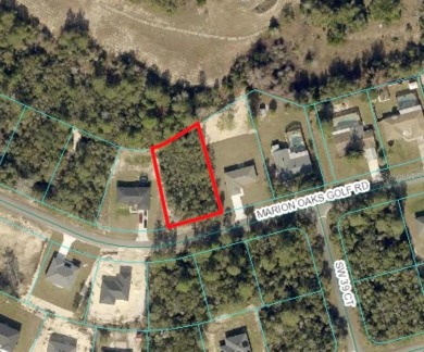 Prime .37 Acre Golf Course Lot in Marion Oaks - No HOA!

Build on Marion Oaks Country Club in Florida - for sale on GolfHomes.com, golf home, golf lot
