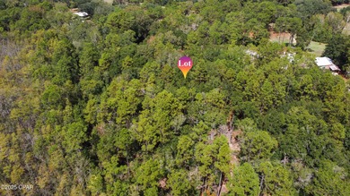 Welcome to 2724 Muir Lane - a serene slice of Northwest Florida on Dogwood Lakes Golf Club in Florida - for sale on GolfHomes.com, golf home, golf lot