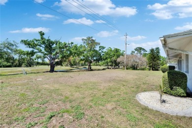 PRICE REDUCED..... Welcome home to Sun City Center, recognized on North Lakes Golf Course in Florida - for sale on GolfHomes.com, golf home, golf lot