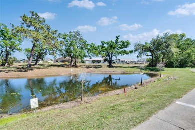 PRICE REDUCED..... Welcome home to Sun City Center, recognized on North Lakes Golf Course in Florida - for sale on GolfHomes.com, golf home, golf lot