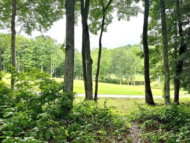 *Nestled in the heart of the prestigious Trillium Links and Lake on Trillium Links in North Carolina - for sale on GolfHomes.com, golf home, golf lot