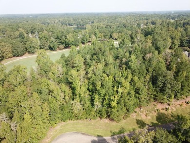 Welcome to your dream location! This breathtaking lot, nestled on Mount Vintage Plantation and Golf Club  in South Carolina - for sale on GolfHomes.com, golf home, golf lot