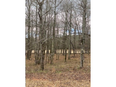 Welcome to your dream location! This breathtaking lot, nestled on Mount Vintage Plantation and Golf Club  in South Carolina - for sale on GolfHomes.com, golf home, golf lot