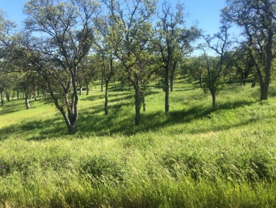 Build your custom dream home on the 12th fairway with a on The Club at Copper Valley Golf Course in California - for sale on GolfHomes.com, golf home, golf lot