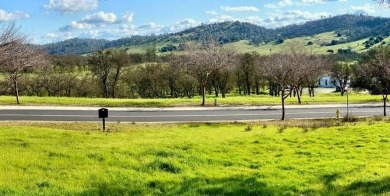 This majestic lot boast .53 acres with a forest of oak trees on The Club at Copper Valley Golf Course in California - for sale on GolfHomes.com, golf home, golf lot