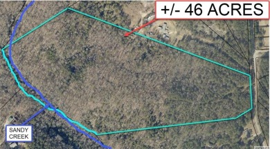 +/- 46.23 ACRES, South Sharon Church Rd, Loganville, Ga (Parcel on Cedar Lake Golf Club in Georgia - for sale on GolfHomes.com, golf home, golf lot