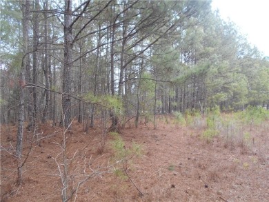 +/- 46.23 ACRES, South Sharon Church Rd, Loganville, Ga (Parcel on Cedar Lake Golf Club in Georgia - for sale on GolfHomes.com, golf home, golf lot