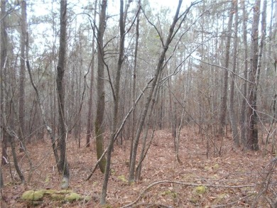+/- 46.23 ACRES, South Sharon Church Rd, Loganville, Ga (Parcel on Cedar Lake Golf Club in Georgia - for sale on GolfHomes.com, golf home, golf lot