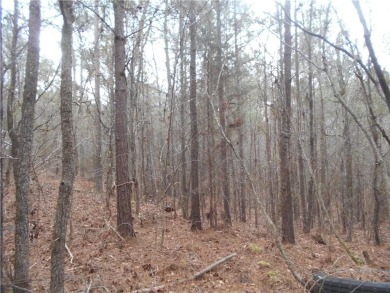 +/- 46.23 ACRES, South Sharon Church Rd, Loganville, Ga (Parcel on Cedar Lake Golf Club in Georgia - for sale on GolfHomes.com, golf home, golf lot