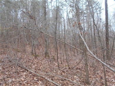 +/- 46.23 ACRES, South Sharon Church Rd, Loganville, Ga (Parcel on Cedar Lake Golf Club in Georgia - for sale on GolfHomes.com, golf home, golf lot