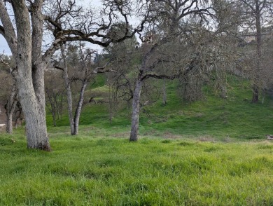 Your chance to own a versatile piece of property just minutes on The Club at Copper Valley Golf Course in California - for sale on GolfHomes.com, golf home, golf lot