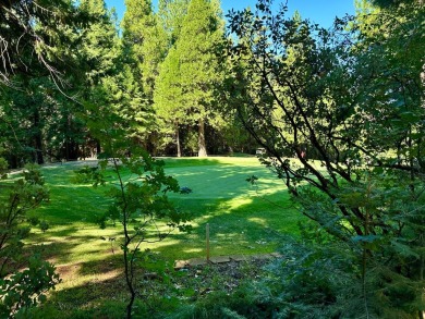 Stunning 3-Bed, 3-Bath Sequoia Woods Golf Course Retreat in Blue on Sequoia Woods Country Club in California - for sale on GolfHomes.com, golf home, golf lot