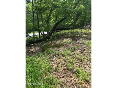 Build your dream home in the golf/retirement Community of on Stonehenge Golf Course in Tennessee - for sale on GolfHomes.com, golf home, golf lot