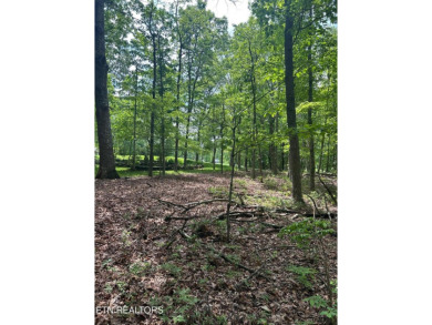 Build your dream home in the golf/retirement Community of on Stonehenge Golf Course in Tennessee - for sale on GolfHomes.com, golf home, golf lot