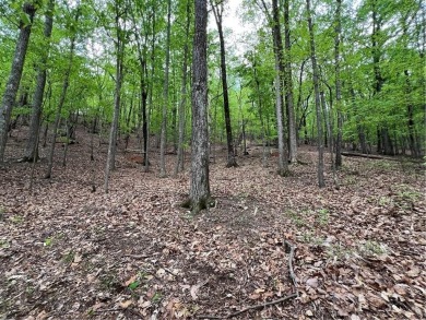 Building Lot in Big Canoe  Priced to Sell!Heres your chance to on Big Canoe Golf Club - Cherokee in Georgia - for sale on GolfHomes.com, golf home, golf lot