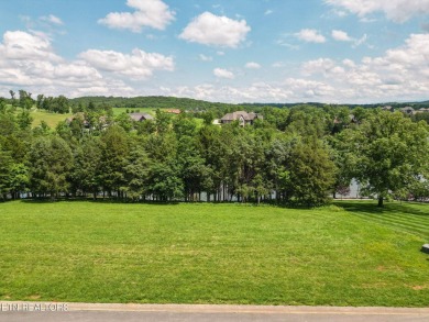 Build Your Dream Home with Stunning Lake Views

This is your on Wind River Golf Course in Tennessee - for sale on GolfHomes.com, golf home, golf lot