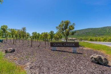 Welcome to Quail Creek, the latest neighborhood of 55 homes on The Club at Copper Valley Golf Course in California - for sale on GolfHomes.com, golf home, golf lot