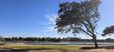Discover luxury coastal living at 1878 Goose Creek Road on Brick Landing Plantation Yacht and Golf Club in North Carolina - for sale on GolfHomes.com, golf home, golf lot