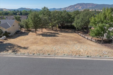 Residential Lot Near Golf Course - Build Your Dream Home! on Greenhorn Creek Resort in California - for sale on GolfHomes.com, golf home, golf lot