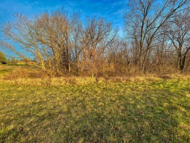 Prime 1.11-Acre Golf Course Lot with Deeded Boat Slip - Ready on Lake Carroll Golf Course in Illinois - for sale on GolfHomes.com, golf home, golf lot