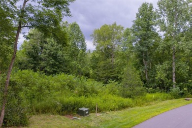 Lot 1 Ivy Gate Lane presents a rare opportunity to own an on High Hampton Inn and Country Club in North Carolina - for sale on GolfHomes.com, golf home, golf lot