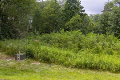 Lot 1 Ivy Gate Lane presents a rare opportunity to own an on High Hampton Inn and Country Club in North Carolina - for sale on GolfHomes.com, golf home, golf lot