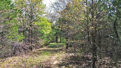 Raw and beautiful 33..02 acres of land for sale a half mile from on Rock Creek Golf Club in Texas - for sale on GolfHomes.com, golf home, golf lot