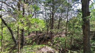 Raw and beautiful 33..02 acres of land for sale a half mile from on Rock Creek Golf Club in Texas - for sale on GolfHomes.com, golf home, golf lot