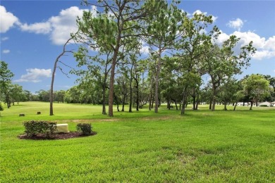 Exceptional Value with Investment Potential in Weeki Wachee!
 on Heather Golf and Country Club in Florida - for sale on GolfHomes.com, golf home, golf lot