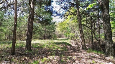 Raw and beautiful 33..02 acres of land for sale a half mile from on Rock Creek Golf Club in Texas - for sale on GolfHomes.com, golf home, golf lot