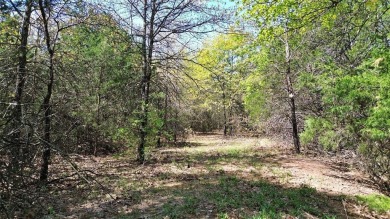 Raw and beautiful 33..02 acres of land for sale a half mile from on Rock Creek Golf Club in Texas - for sale on GolfHomes.com, golf home, golf lot