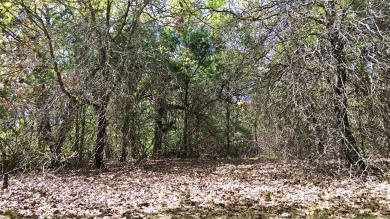 Raw and beautiful 33..02 acres of land for sale a half mile from on Rock Creek Golf Club in Texas - for sale on GolfHomes.com, golf home, golf lot