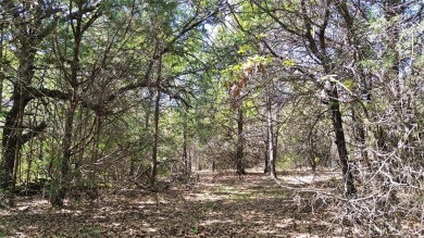 Raw and beautiful 33..02 acres of land for sale a half mile from on Rock Creek Golf Club in Texas - for sale on GolfHomes.com, golf home, golf lot