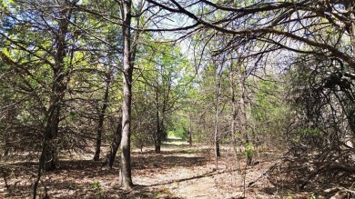 Raw and beautiful 33..02 acres of land for sale a half mile from on Rock Creek Golf Club in Texas - for sale on GolfHomes.com, golf home, golf lot