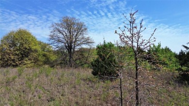 Raw and beautiful 33..02 acres of land for sale a half mile from on Rock Creek Golf Club in Texas - for sale on GolfHomes.com, golf home, golf lot