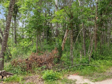 Discover your lakeside paradise with this 100-foot level lot on on Deacons Lodge Golf Course in Minnesota - for sale on GolfHomes.com, golf home, golf lot