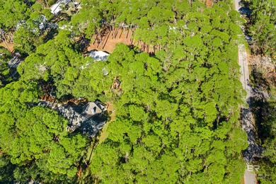Beautiful wooded residential lot on Dauphin Island, measuring on Isle Dauphine Club Golf Course in Alabama - for sale on GolfHomes.com, golf home, golf lot