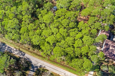 Beautiful wooded residential lot on Dauphin Island, measuring on Isle Dauphine Club Golf Course in Alabama - for sale on GolfHomes.com, golf home, golf lot
