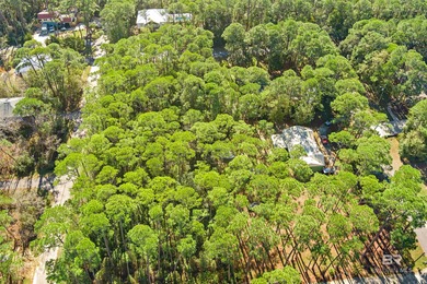 Beautiful wooded residential lot on Dauphin Island, measuring on Isle Dauphine Club Golf Course in Alabama - for sale on GolfHomes.com, golf home, golf lot