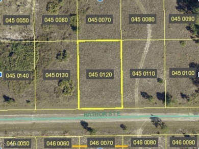 Excellent opportunity to own a 0.23-acre residential lot in a on Mirror Lakes Golf Club in Florida - for sale on GolfHomes.com, golf home, golf lot