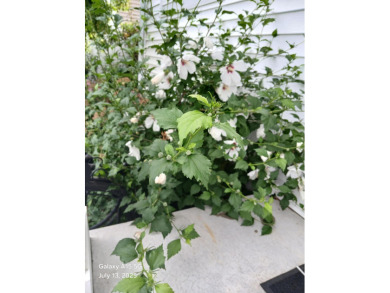 Experience refined living in this luxurious 3 bed 3 1/2 bath on The Macatwa Legends Golf Course in Michigan - for sale on GolfHomes.com, golf home, golf lot