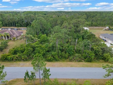 Welcome to Majestic St, Orlando, FL 32833, a pristine vacant lot on Wedgefield Golf Club in Florida - for sale on GolfHomes.com, golf home, golf lot